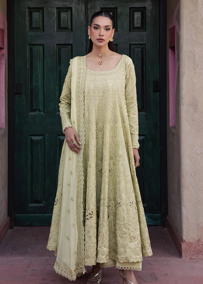 Zarposh | Celia '26 - Elvia