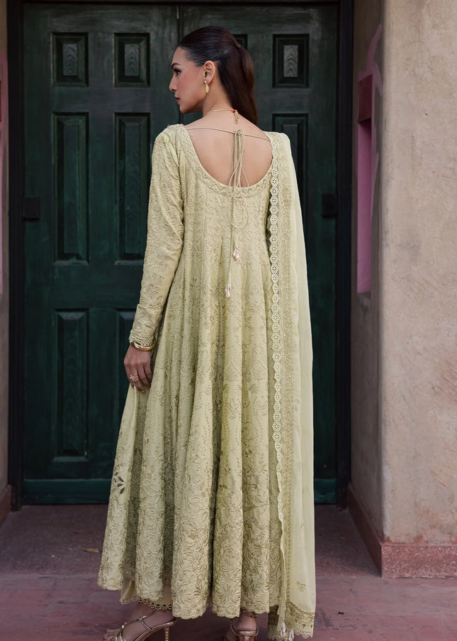Zarposh | Celia '26 - Elvia