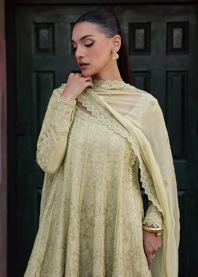 Zarposh | Celia '26 - Elvia