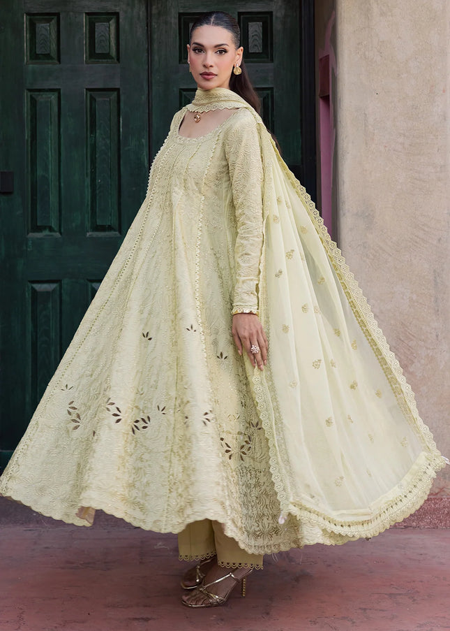 Zarposh | Celia '26 - Elvia