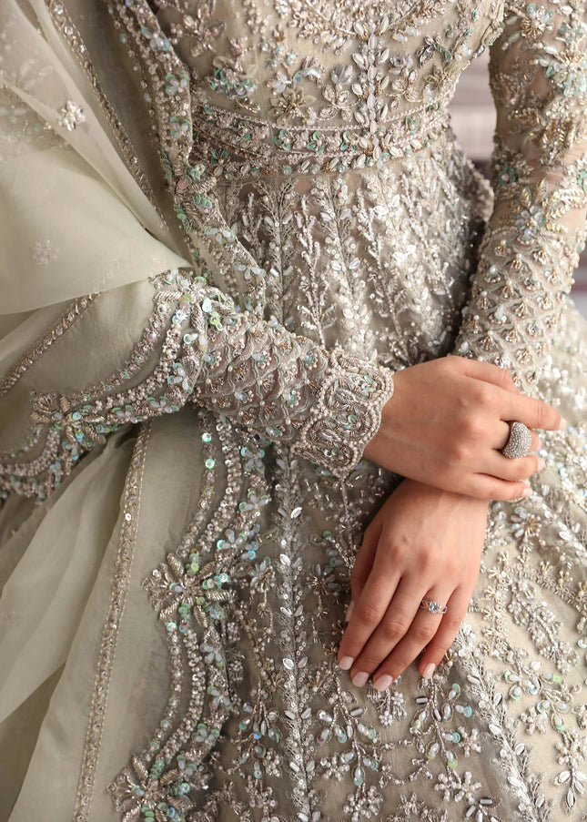 Akbar Aslam | Serena'24 - Willow