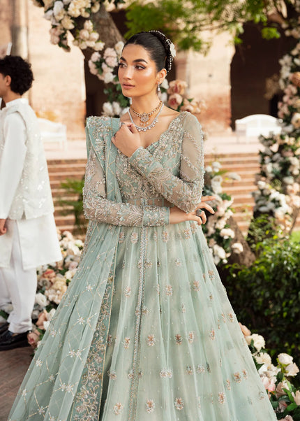 Akbar Aslam | Serena'24 - Cascade