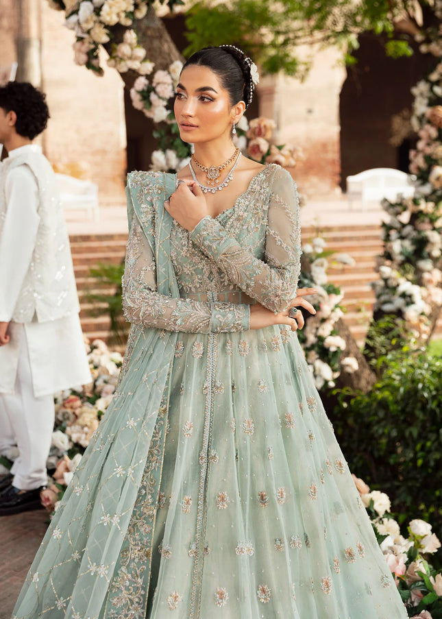 Akbar Aslam | Serena'24 - Cascade