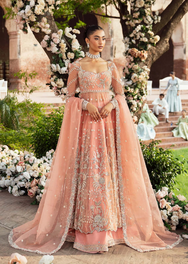 Akbar Aslam | Serena'24 - Solstice