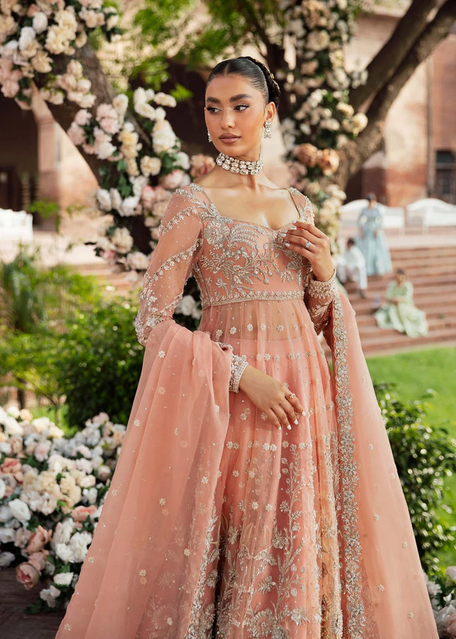Akbar Aslam | Serena'24 - Solstice