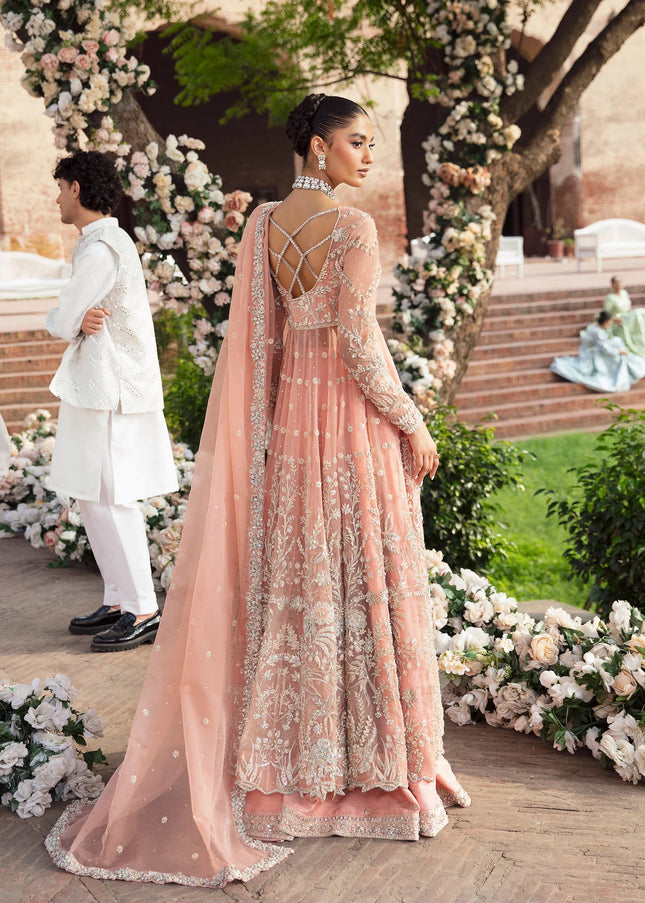 Akbar Aslam | Serena'24 - Solstice