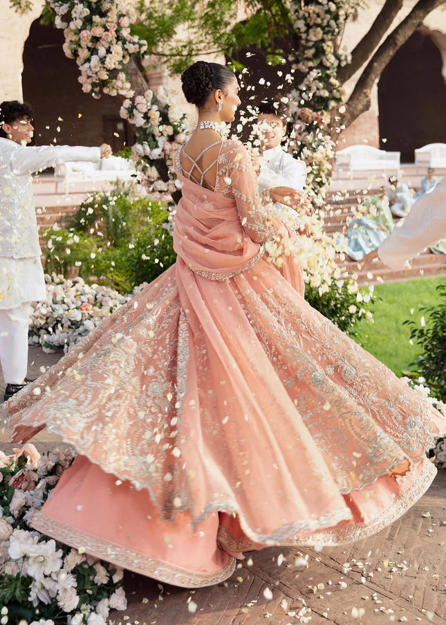Akbar Aslam | Serena'24 - Solstice