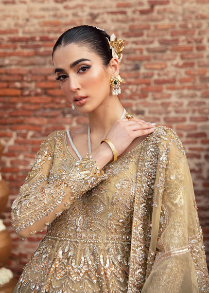 Akbar Aslam | Serena'24 - Elysuim