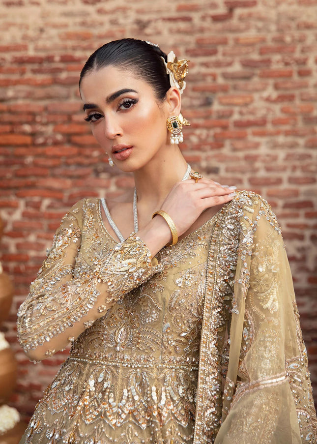 Akbar Aslam | Serena'24 - Elysuim