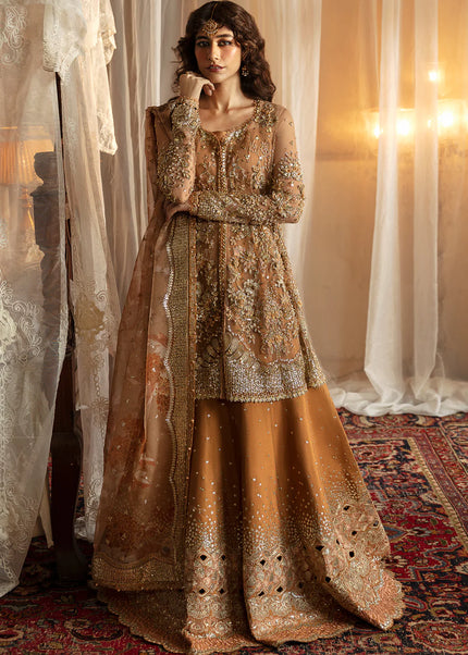 Afrozeh | Hayat Wedding Formals'24 - Nooray