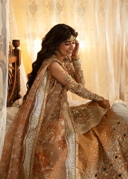 Afrozeh | Hayat Wedding Formals'24 - Nooray