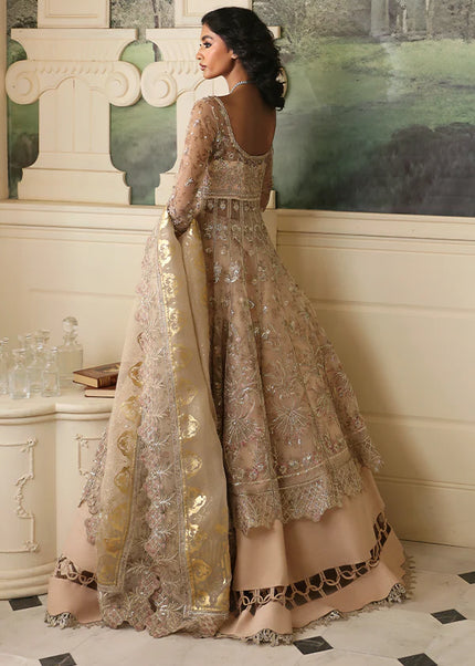 Nyra | Wedding Festive - Dahlia