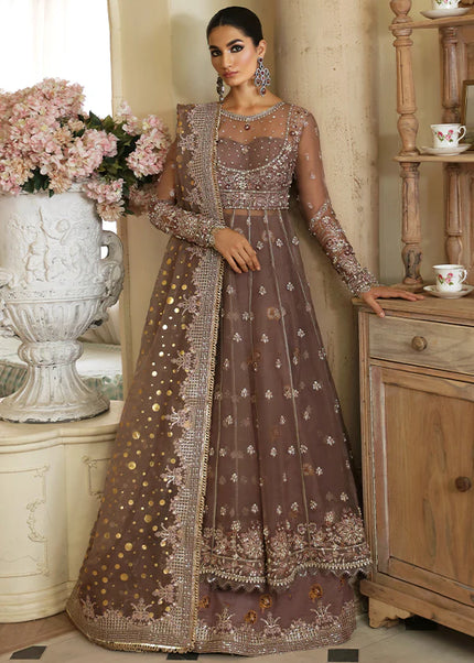 Nyra | Wedding Festive - Aster