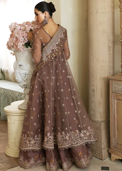 Nyra | Wedding Festive - Aster