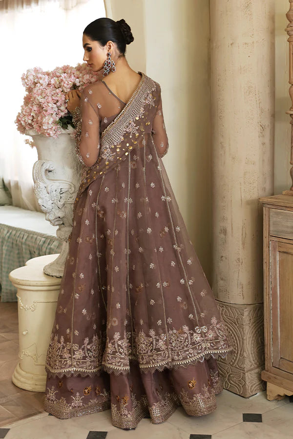 Nyra | Wedding Festive - Aster