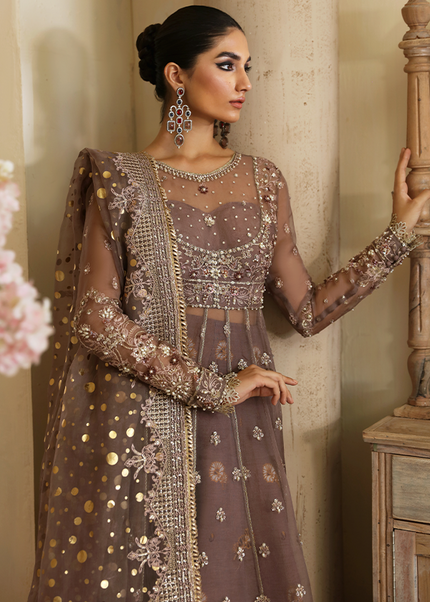 Nyra | Wedding Festive - Aster