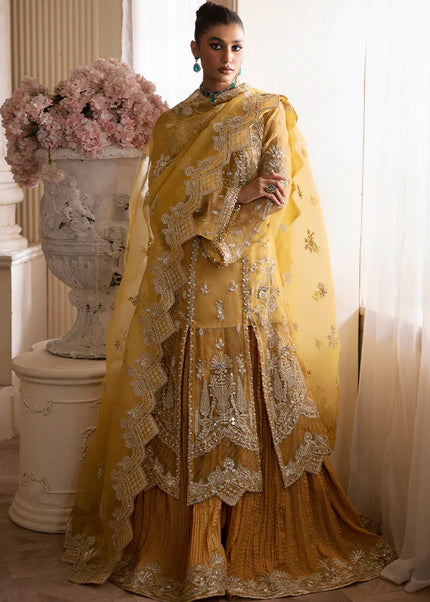 Nyra | Wedding Festive - Aurea