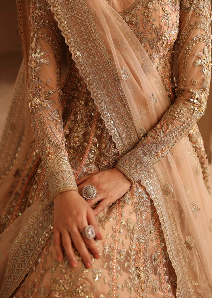 Akbar Aslam | Aveline