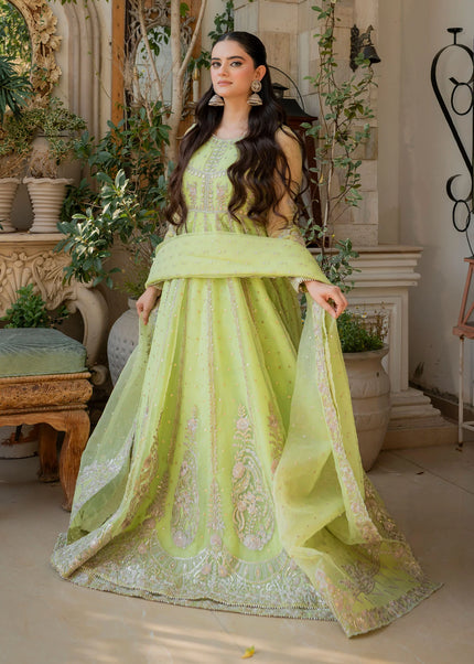 Rang E Haya | Pishwas - Lexina