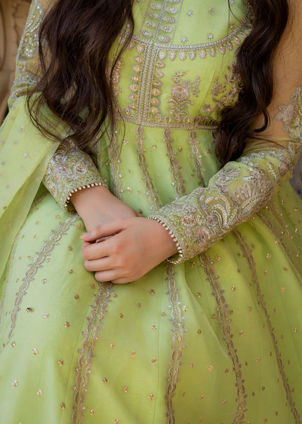 Rang E Haya | Pishwas - Lexina