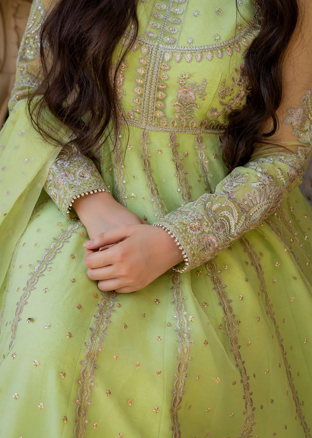 Rang E Haya | Pishwas - Lexina