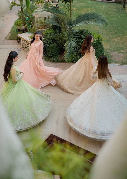 Rang E Haya | Pishwas - Terylin