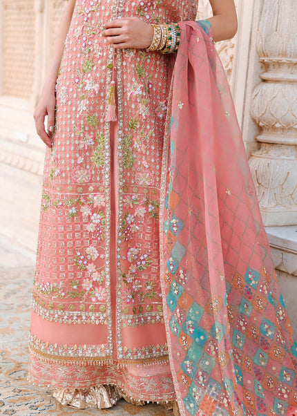 Saira Shakira | Wedding '26 -  Daphne