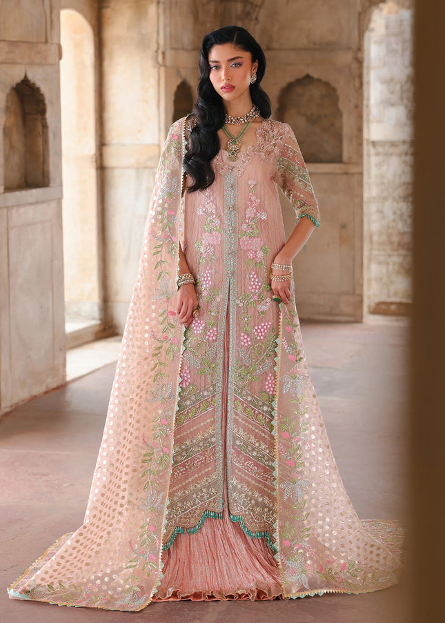 Saira Shakira | Wedding '26 -  Zinnia