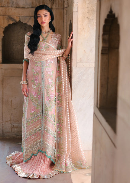 Saira Shakira | Wedding '26 -  Zinnia