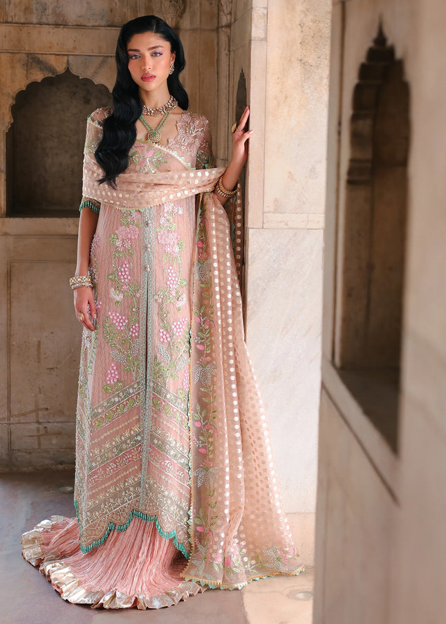 Saira Shakira | Wedding '26 -  Zinnia