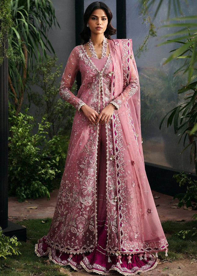 Afrozeh | La Fuchsia '25 - Seraira