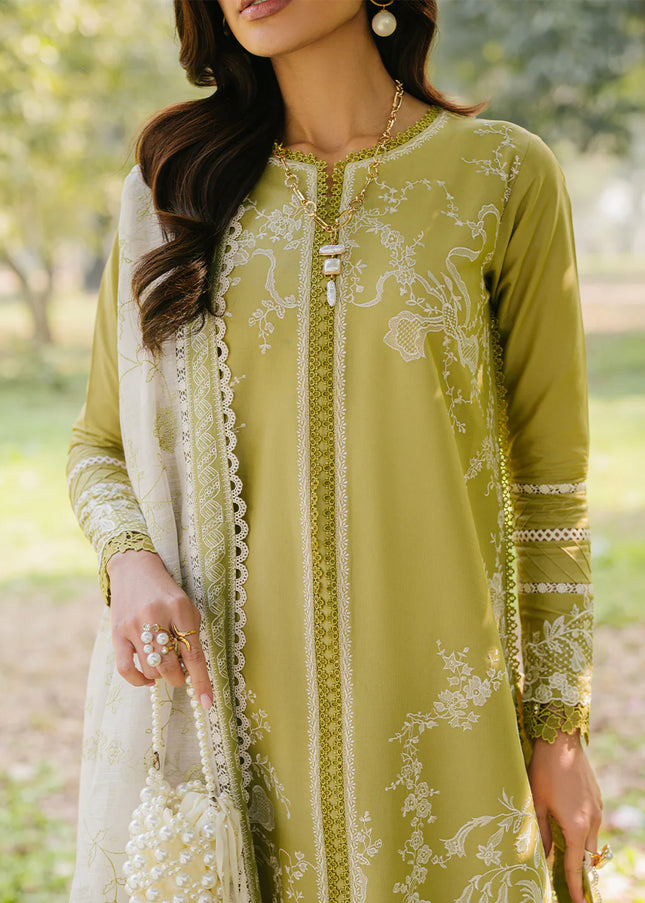 Bin Ilyas | Lawn - 231A