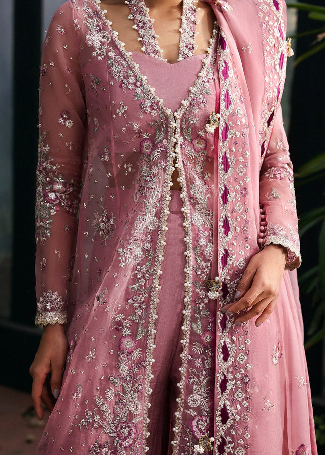 Afrozeh | La Fuchsia '25 - Seraira