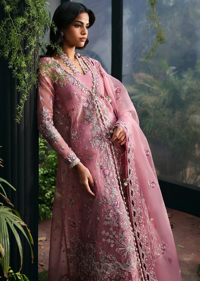 Afrozeh | La Fuchsia '25 - Seraira
