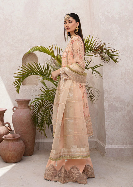 Zarposh | Jahanara - Nuri