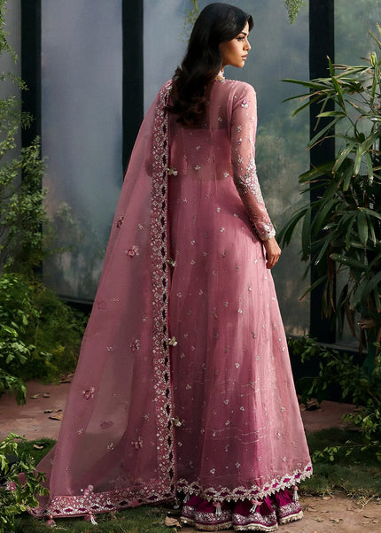 Afrozeh | La Fuchsia '25 - Seraira