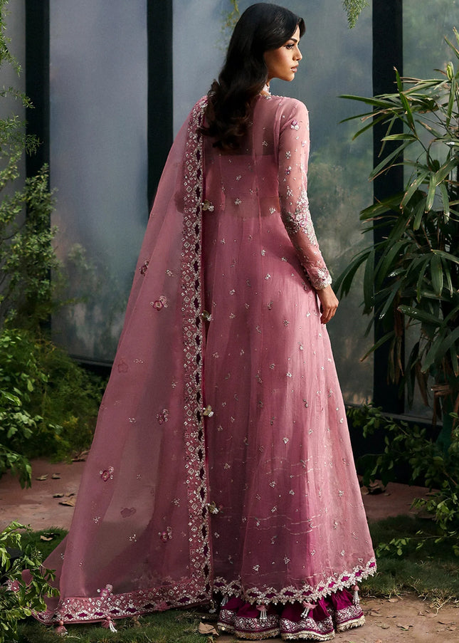 Afrozeh | La Fuchsia '25 - Seraira