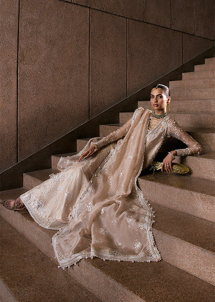 Suffuse | Freeshia Rtw'25 - Ismira