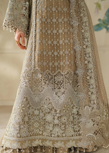 Baroque | Embroidered Chiffon CH14-08