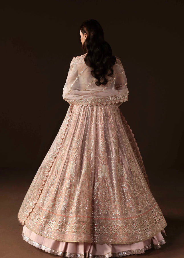 Akbar Aslam | Solene - Ember