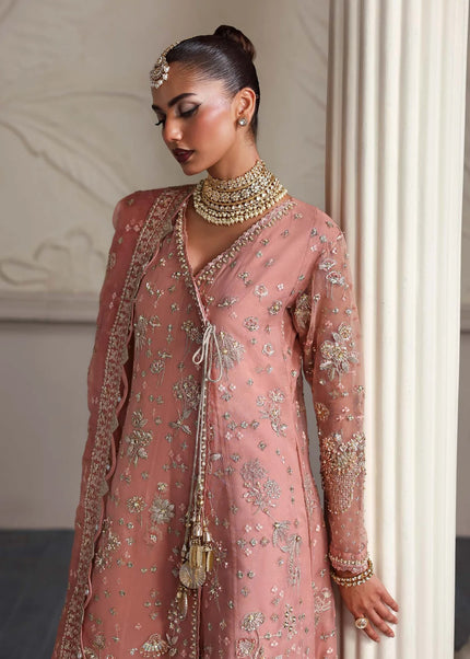 Dastoor | Serene Festive'25 - Elza