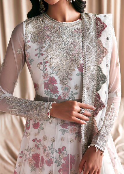 Zarif | Siraya - Chashni