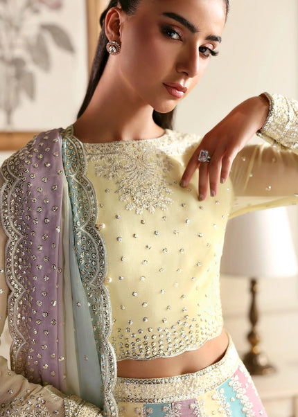 Zarif | Siraya - Sonal