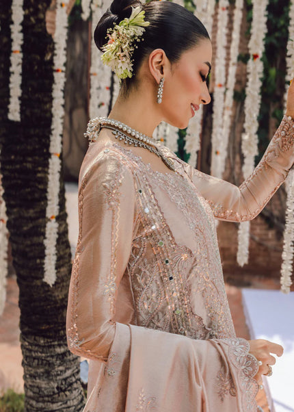 Rang Rasiya | Wedding Formals '25  - Nayab