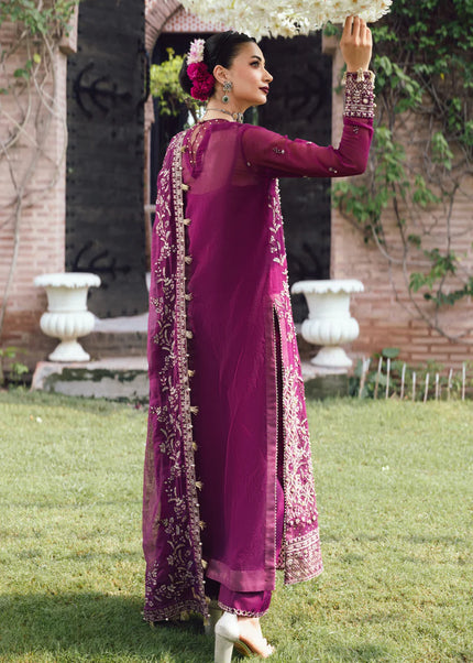 Rang Rasiya | Wedding Formals '25  - Nimir