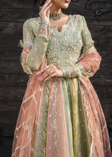 Rang Rasiya | Wedding Formals '25  - Amil