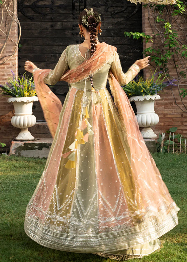 Rang Rasiya | Wedding Formals '25  - Amil