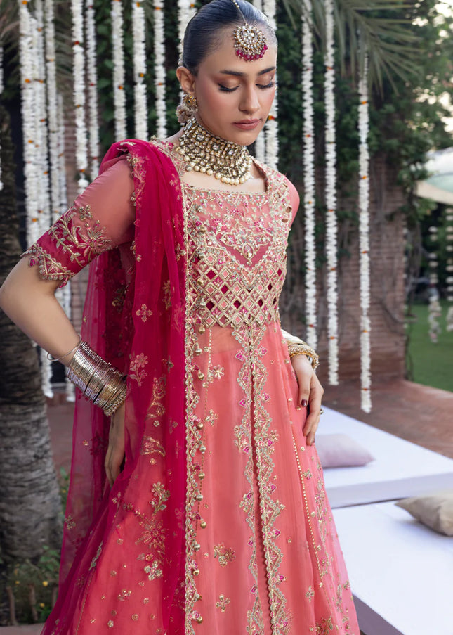 Rang Rasiya | Wedding Formals '25  - Narmeen