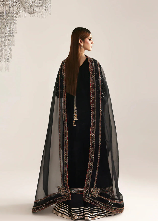 Emaan Adeel | Zarposh Velvet - Razia