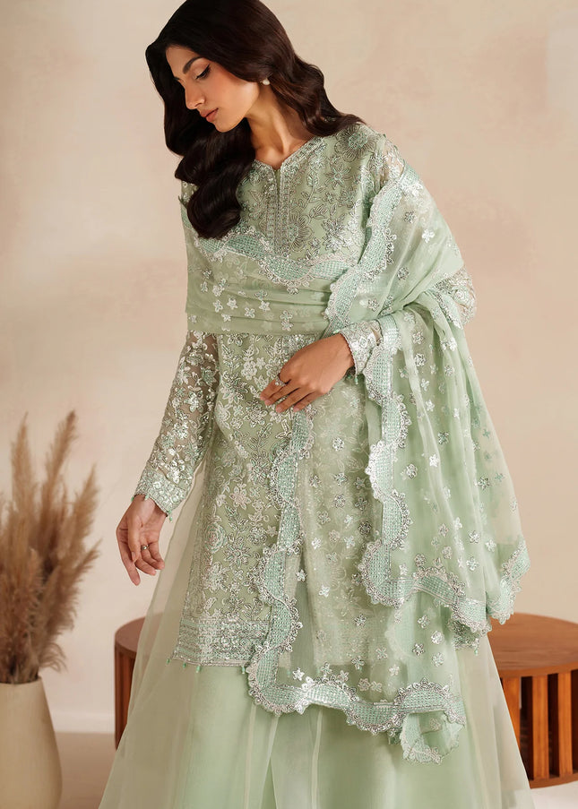 Farasha | Soft Fern